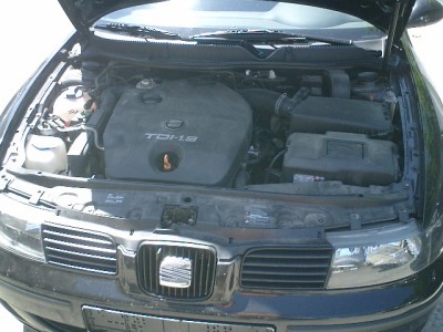 CIMG0010.JPG
