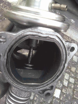 p4.jpg