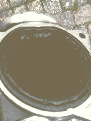 p1.jpg