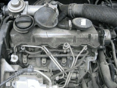 445669804_1.jpg