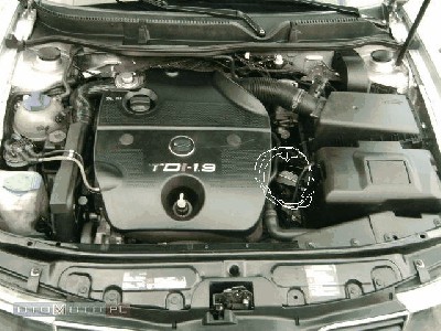 C5526274_9.jpg
