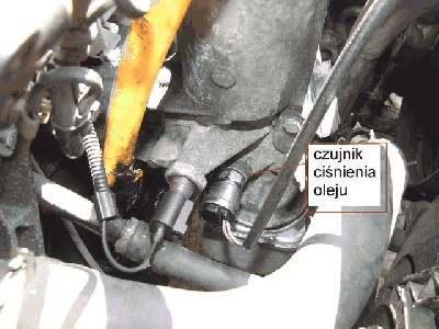 dscf7433alm3.jpg