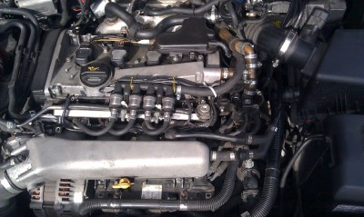 IMAG0070.jpg